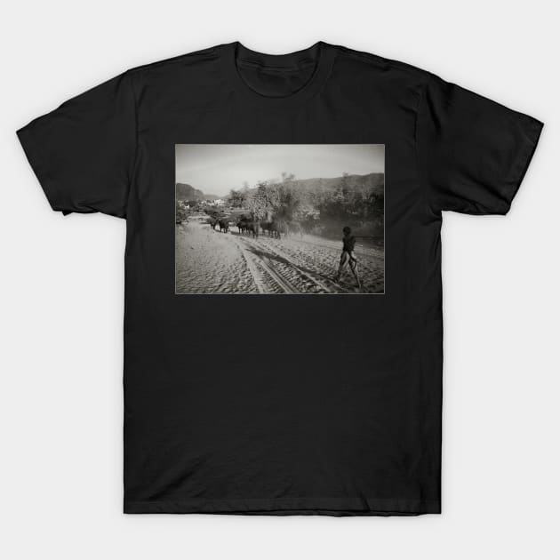 Landscapes vintage B/W Photography T-Shirt by PlanetMonkey